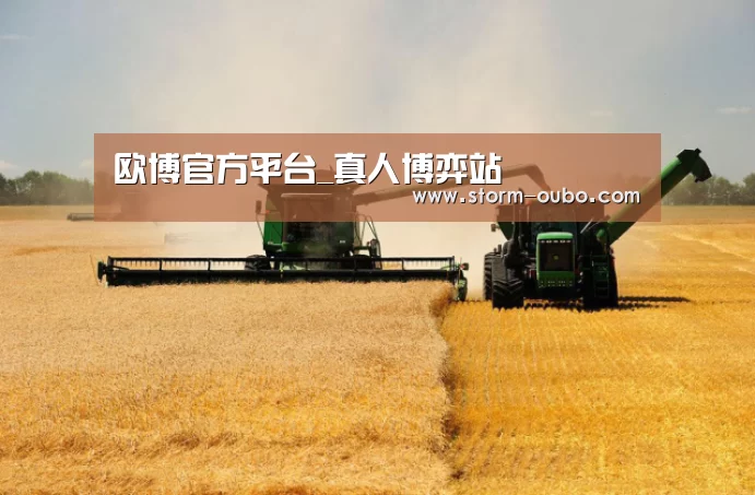 产品名称八(图1)