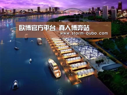 案例展示八