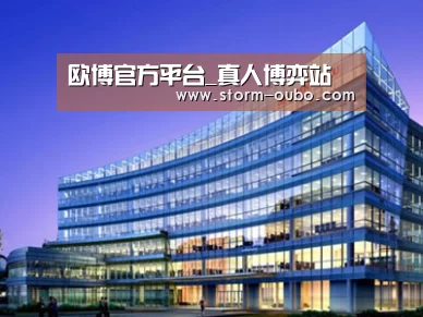 案例展示五