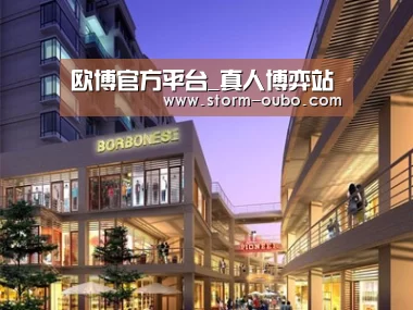 案例展示一