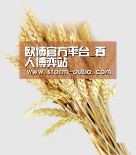 欧博官方平台_真人博弈站
