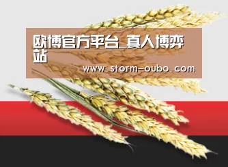 欧博官方平台_真人博弈站