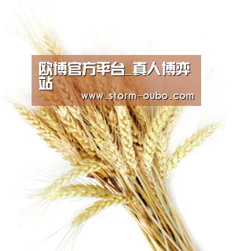 欧博官方平台_真人博弈站