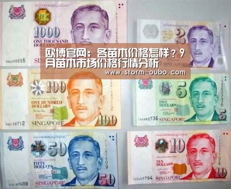 欧博官网:各苗木价格怎样?9月苗木市场价格行情分析(图1) 欧博