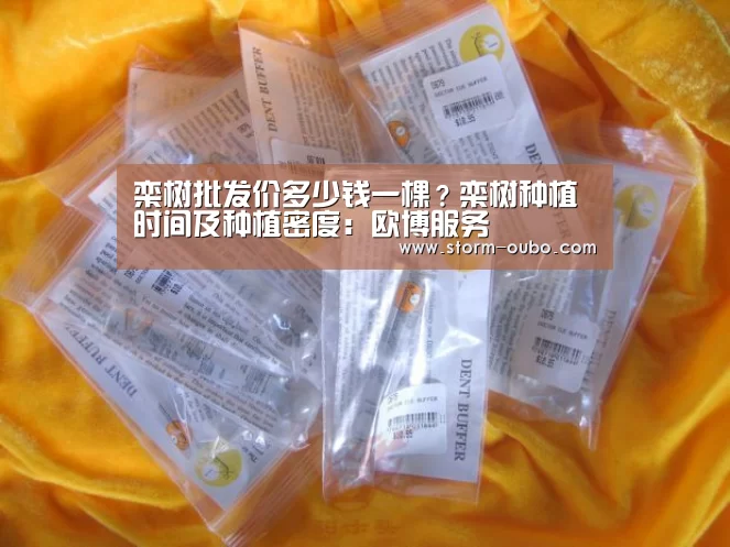 栾树批发价多少钱一棵?栾树种植时间及种植密度:欧博服务(图2) 欧博
