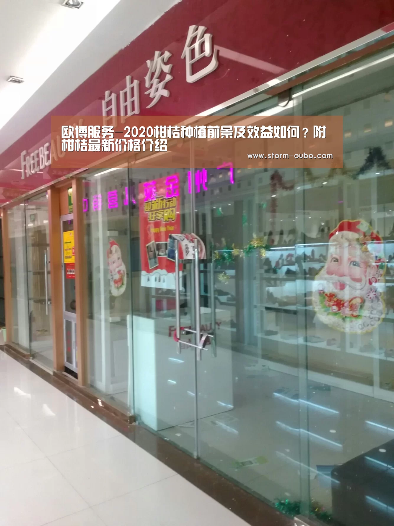 欧博服务-2020柑桔种植前景及效益如何?附柑桔最新价格介绍(图1) 欧博官网