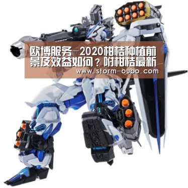 欧博服务-2020柑桔种植前景及效益如何?附柑桔最新价格介绍(图2) 欧博服务