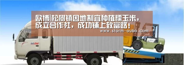 欧博|松树镇因地制宜种植糯玉米，成立合作社，成功铺上致富路！