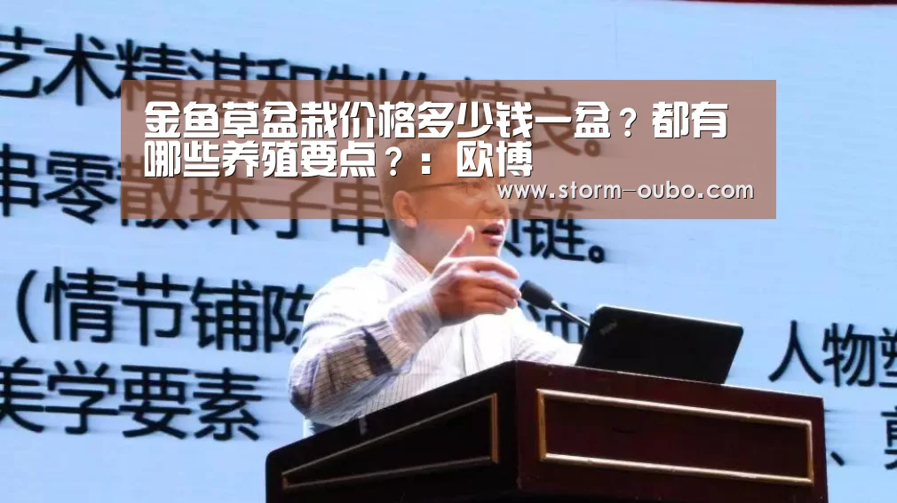 金鱼草盆栽价格多少钱一盆?都有哪些养殖要点?:欧博(图1) 欧博官网