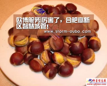 欧博服务|厉害了,合肥高新区智慧城管!(图2) 欧博服务