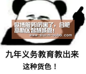 欧博服务|厉害了,合肥高新区智慧城管!(图3) 欧博官网