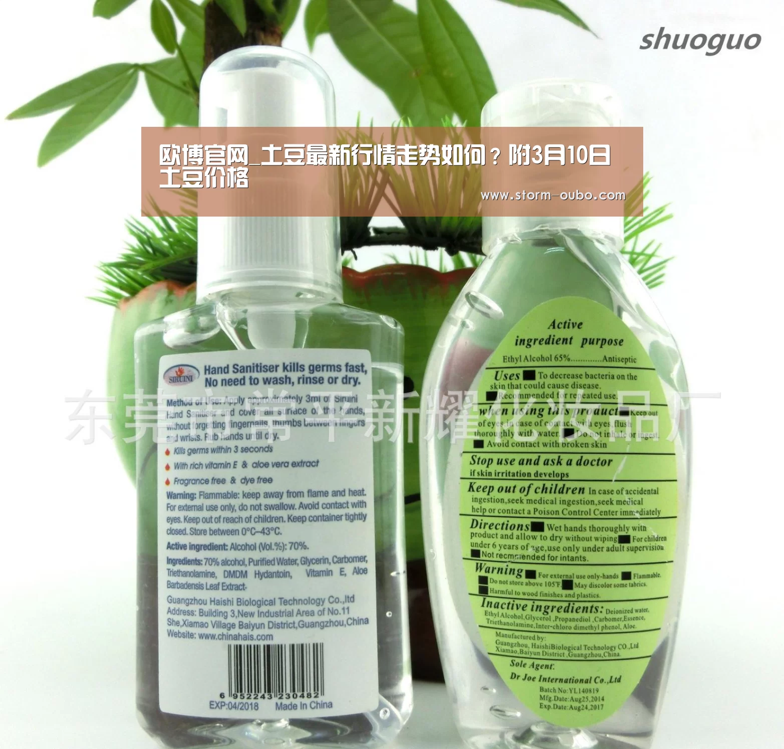 欧博官网_土豆最新行情走势如何？附3月10日土豆价格